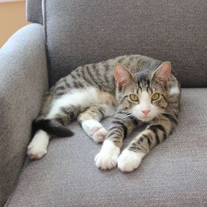 Meet your Posher, Kim